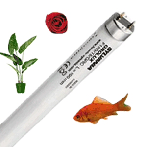 Application Spéciale Aquarium Boucherie Fleur