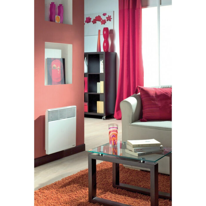 salon avec radiateur convecteur evidence 6