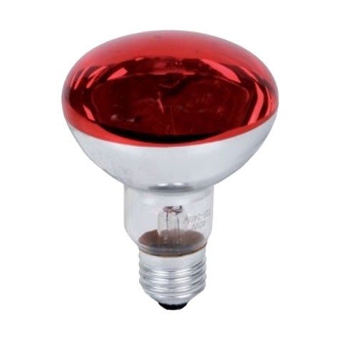 Ampoule Couleur rouge Concentra R80 230V 60W GA30 E27