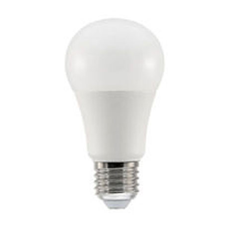 Ampoule LED Energy Smart GLS PRO 9W 810lm 2700K E27