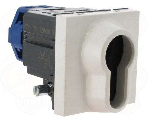Interrupteur à clé barillet 6A 250V~ 2 modules avec 2 positions - Mosaic - Blanc - 077074 - Legrand