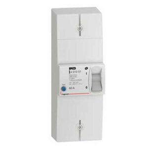 Disjoncteur de branchement -bipolaire - instantané - 60A - 401051 - LEGRAND