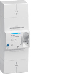 Disjoncteur de branchement - bipolaire - Instantané - 60A - HDA260F - Hager