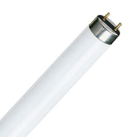 Tube actinique T12 - G13 - 20W - FT020BL36824/03 -Bailey