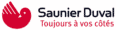 logo-saunier-duval-wordpress