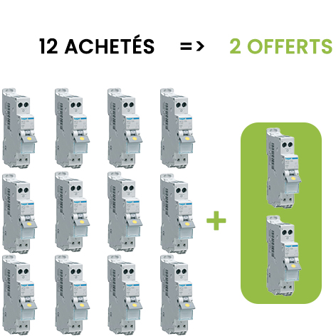 lot de 14 disjoncteurs bipolaires sanvis dont 2 gratuits MFS716