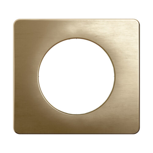 Plaque de finition - 1 Poste - Bronze Satiné - Céliane - CP1601 - Legrand